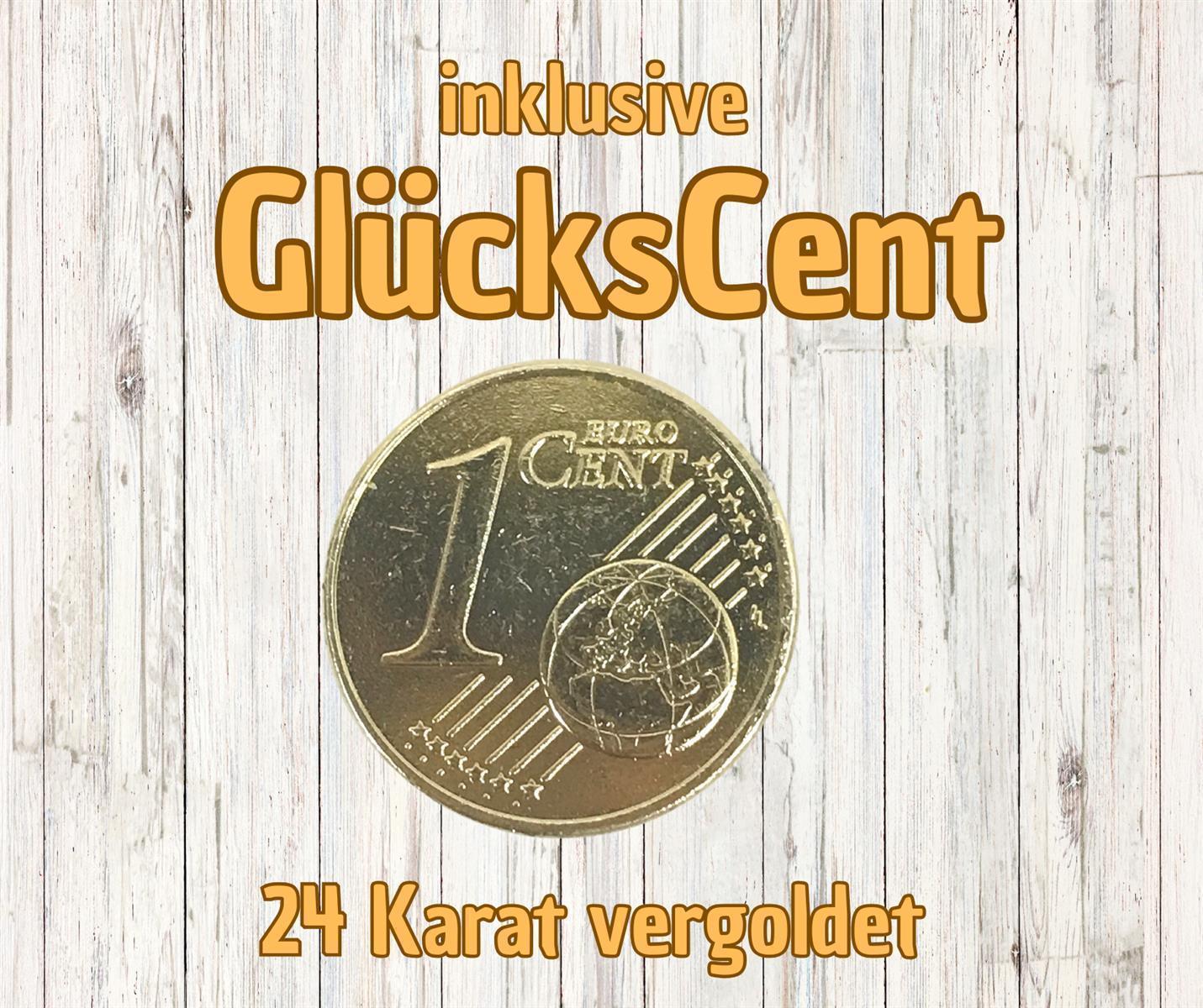 camel active Leder Herren Börse schwarz mit vergoldetem Glückscent